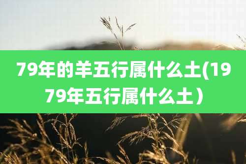 79年的羊五行属什么土(1979年五行属什么土）