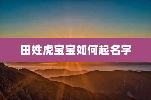田姓虎宝宝如何起名字