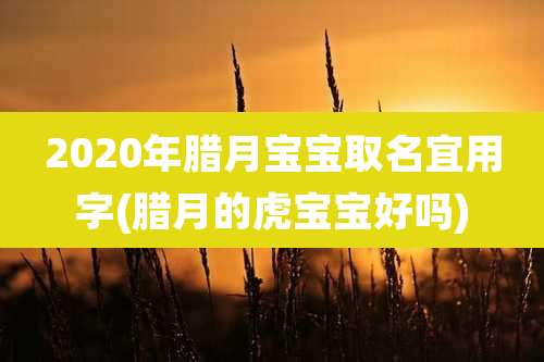 2020年腊月宝宝取名宜用字(腊月的虎宝宝好吗)