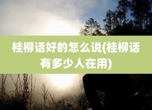 桂柳话好的怎么说(桂柳话有多少人在用)