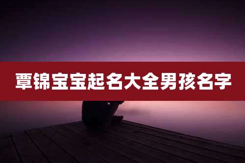 覃锦宝宝起名大全男孩名字