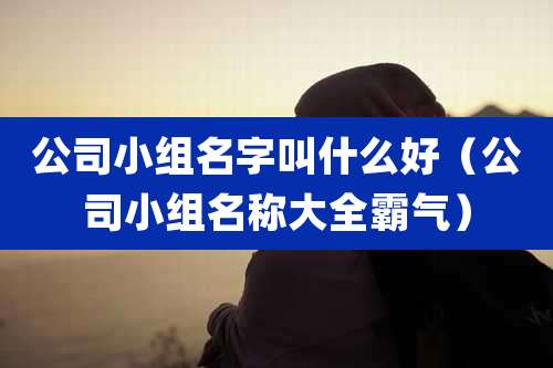 公司小组名字叫什么好(公司小组名称大全霸气)