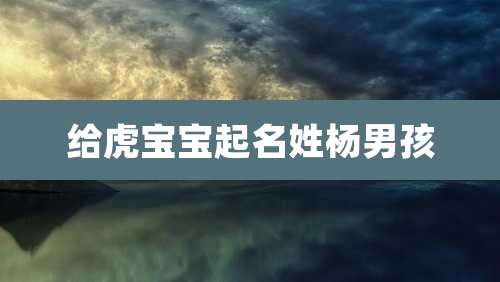 给虎宝宝起名姓杨男孩