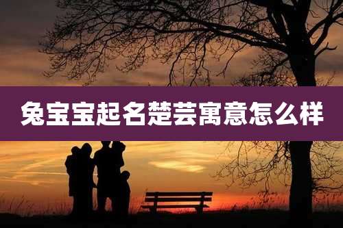 兔宝宝起名楚芸寓意怎么样