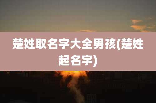 楚姓取名字大全男孩(楚姓起名字)