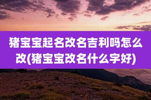 猪宝宝起名改名吉利吗怎么改(猪宝宝改名什么字好)