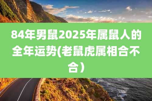 84年男鼠2025年属鼠人的全年运势(老鼠虎属相合不合)