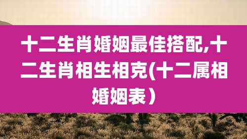 十二生肖婚姻最佳搭配,十二生肖相生相克(十二属相婚姻表)