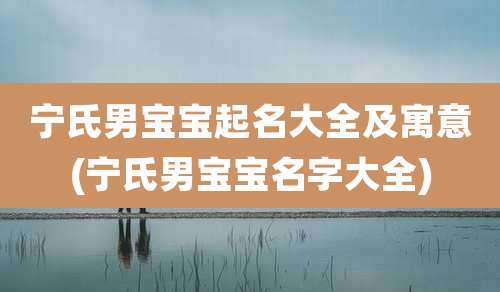 宁氏男宝宝起名大全及寓意(宁氏男宝宝名字大全)