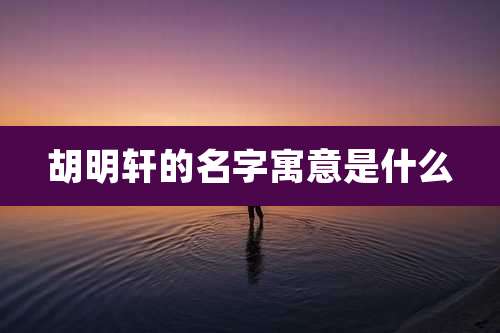 胡明轩的名字寓意是什么