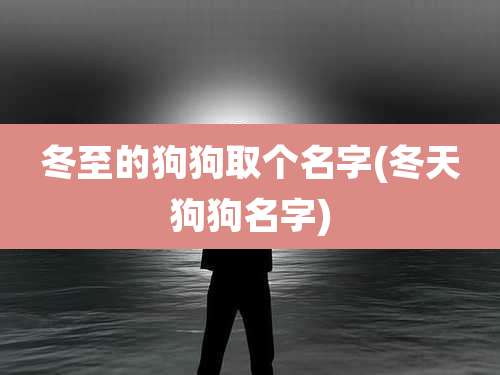 冬至的狗狗取个名字(冬天狗狗名字)