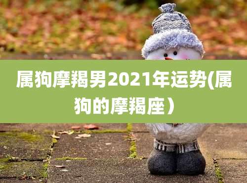 属狗摩羯男2021年运势(属狗的摩羯座)