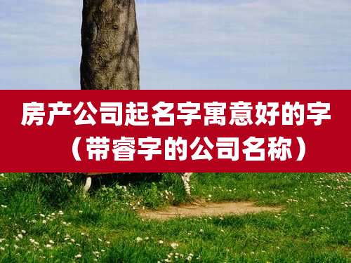 房产公司起名字寓意好的字（带睿字的公司名称）
