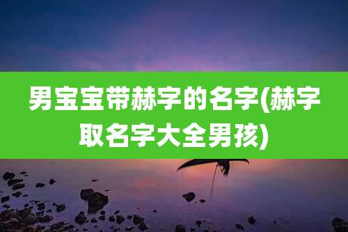 男宝宝带赫字的名字(赫字取名字大全男孩)