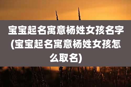 宝宝起名寓意杨姓女孩名字(宝宝起名寓意杨姓女孩怎么取名)