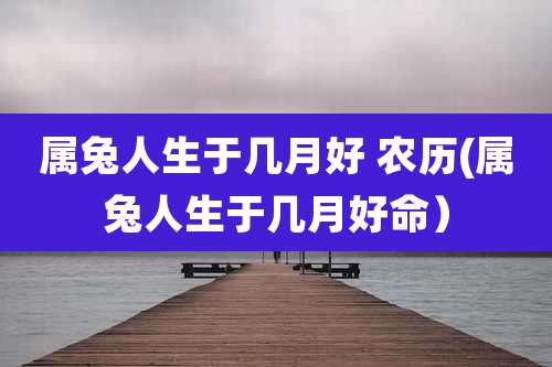 属兔人生于几月好 农历(属兔人生于几月好命)
