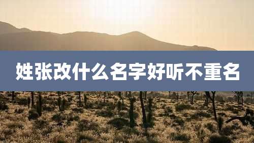 姓张改什么名字好听不重名