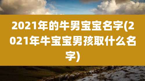2021年的牛男宝宝名字(2021年牛宝宝男孩取什么名字)