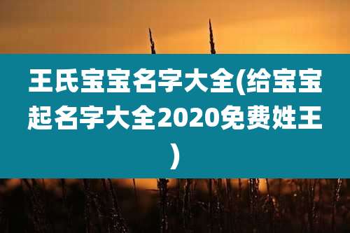 王氏宝宝名字大全(给宝宝起名字大全2020免费姓王)