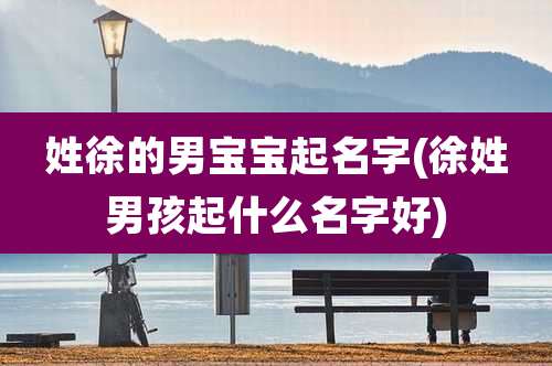 姓徐的男宝宝起名字(徐姓男孩起什么名字好)