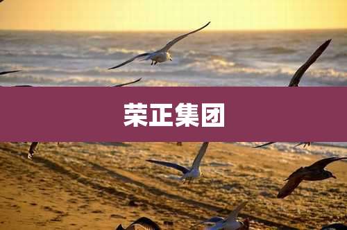 荣正集团