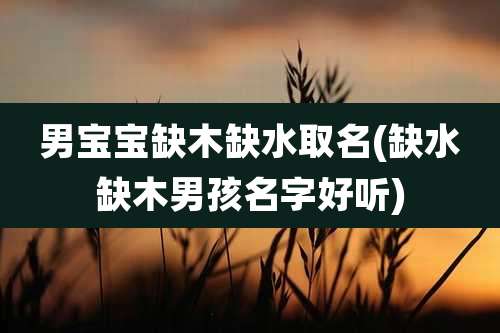 男宝宝缺木缺水取名(缺水缺木男孩名字好听)