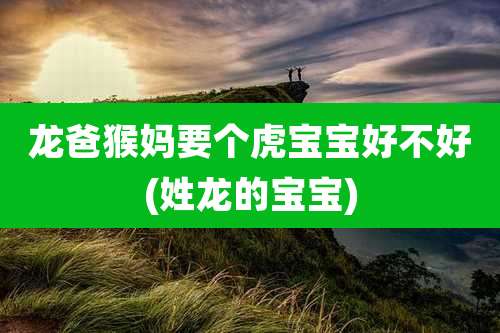 龙爸猴妈要个虎宝宝好不好(姓龙的宝宝)