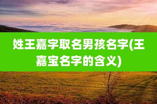 姓王嘉字取名男孩名字(王嘉宝名字的含义)