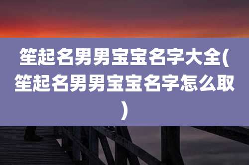 笙起名男男宝宝名字大全(笙起名男男宝宝名字怎么取)