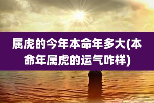 属虎的今年本命年多大(本命年属虎的运气咋样)