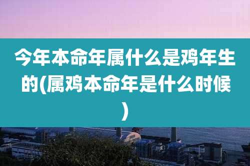 今年本命年属什么是鸡年生的(属鸡本命年是什么时候)
