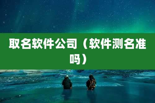 取名软件公司(软件测名准吗)