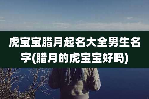 虎宝宝腊月起名大全男生名字(腊月的虎宝宝好吗)