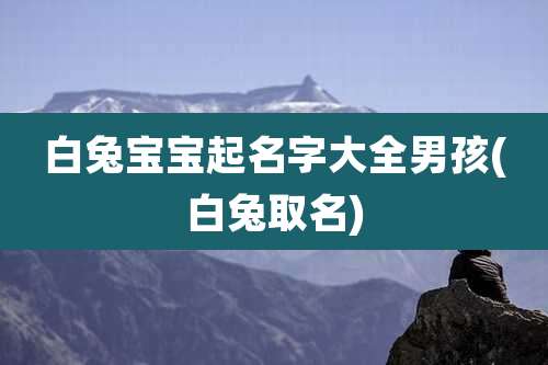 白兔宝宝起名字大全男孩(白兔取名)