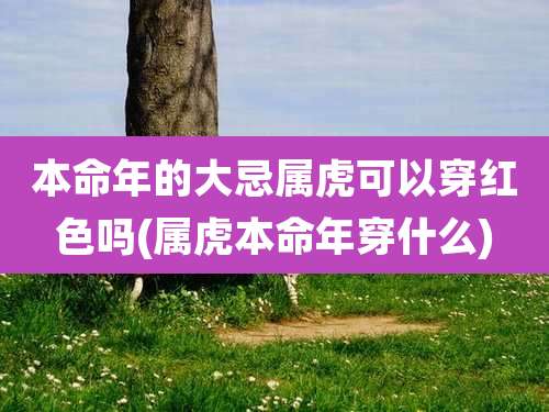 本命年的大忌属虎可以穿红色吗(属虎本命年穿什么)