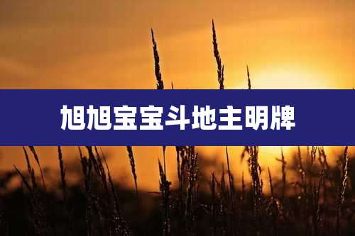 旭旭宝宝斗地主明牌