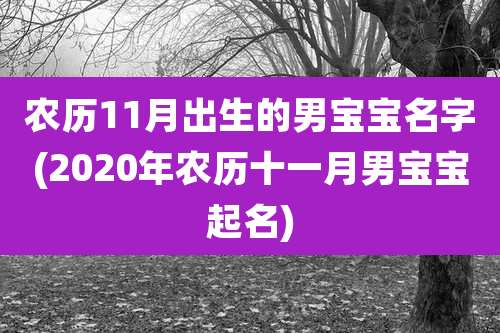 农历11月出生的男宝宝名字(2020年农历十一月男宝宝起名)