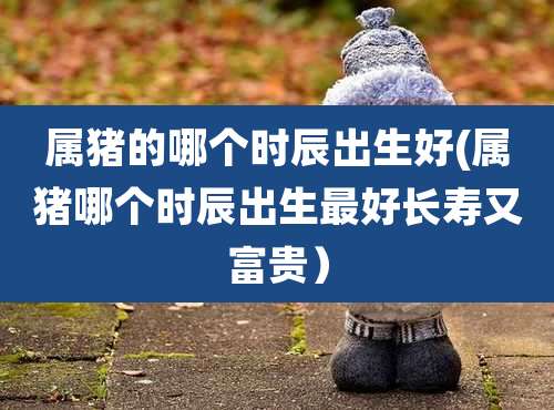 属猪的哪个时辰出生好(属猪哪个时辰出生最好长寿又富贵）