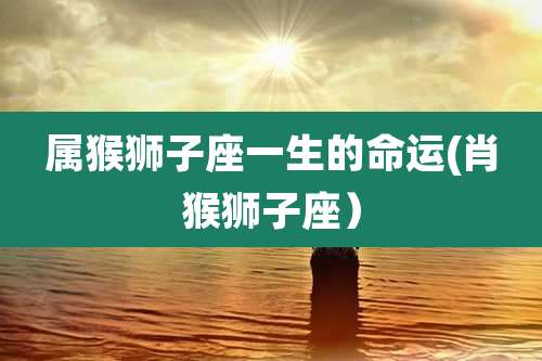 属猴狮子座一生的命运(肖猴狮子座)