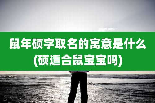 鼠年硕字取名的寓意是什么(硕适合鼠宝宝吗)