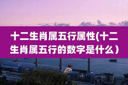 十二生肖属五行属性(十二生肖属五行的数字是什么）