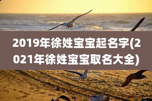 2019年徐姓宝宝起名字(2021年徐姓宝宝取名大全)