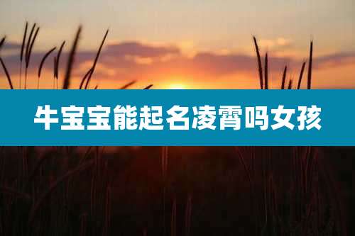 牛宝宝能起名凌霄吗女孩