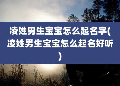 凌姓男生宝宝怎么起名字(凌姓男生宝宝怎么起名好听)