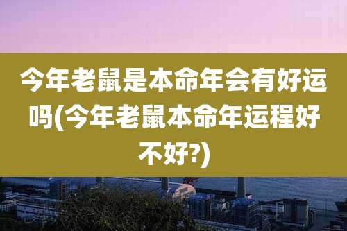 今年老鼠是本命年会有好运吗(今年老鼠本命年运程好不好?)