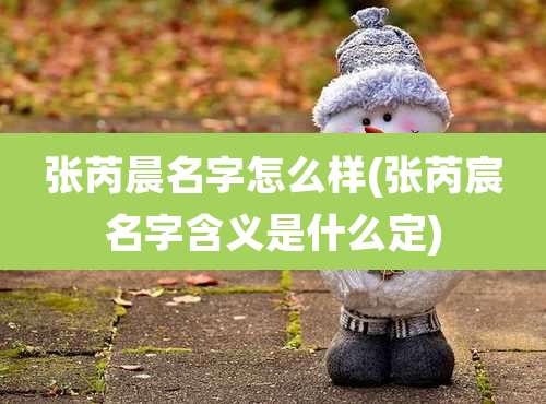 张芮晨名字怎么样(张芮宸名字含义是什么定)