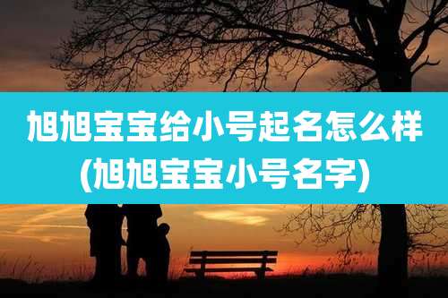 旭旭宝宝给小号起名怎么样(旭旭宝宝小号名字)