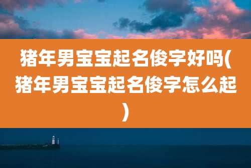 猪年男宝宝起名俊字好吗(猪年男宝宝起名俊字怎么起)
