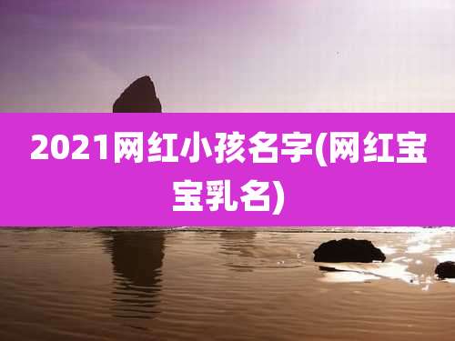 2021网红小孩名字(网红宝宝乳名)