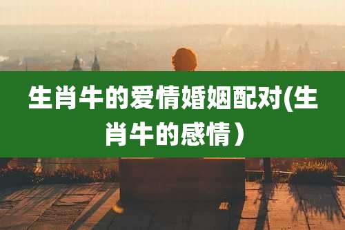 生肖牛的爱情婚姻配对(生肖牛的感情)